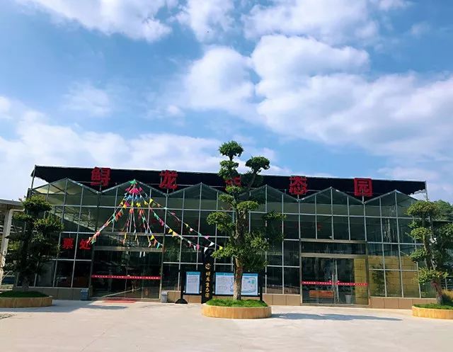 长阳是一个山清水秀的好地方,长阳很美的城