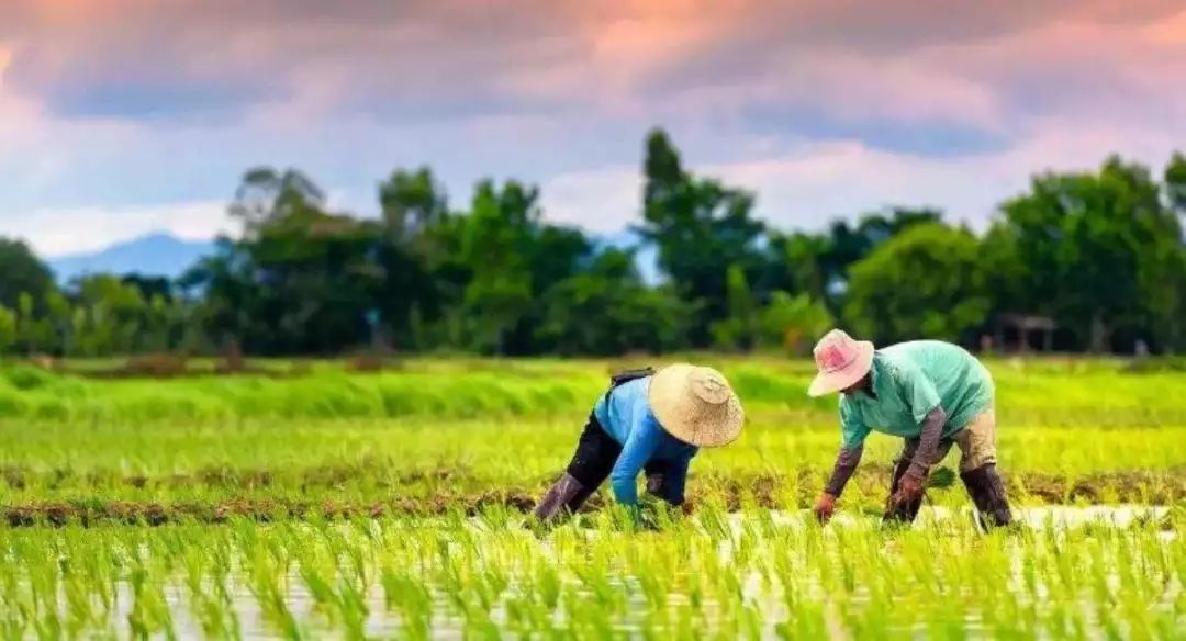 丹江口农业户口补贴,农村户口请关注这三类人要交钱了