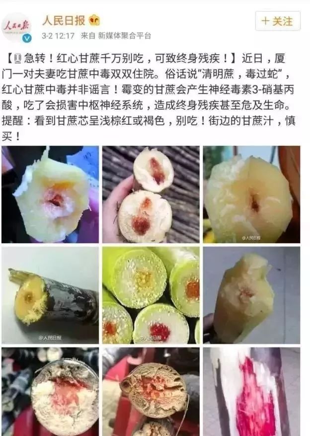 比毒蛇还毒？这种食物清明前后大量上市，好多湖南人特别爱吃…