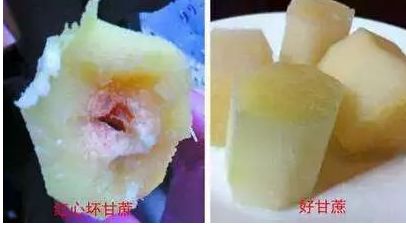 比毒蛇还毒？这种食物清明前后大量上市，好多湖南人特别爱吃…