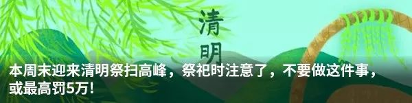 深圳佳兆业中超,深圳佳兆业vs上海绿地申花