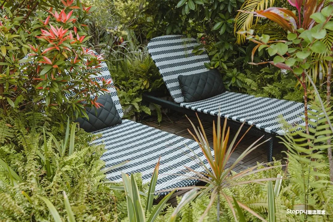 广州必吃早茶店,广州值得吃的早茶店