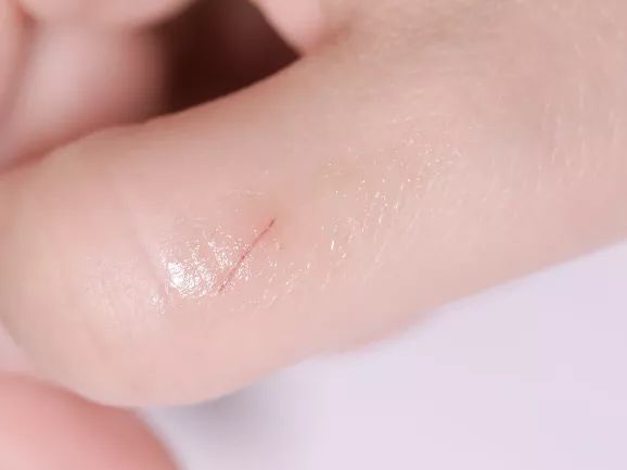 年度爱用品分享,2019年爱用物分享