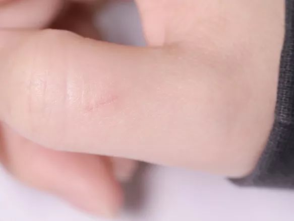 年度爱用品分享,2019年爱用物分享