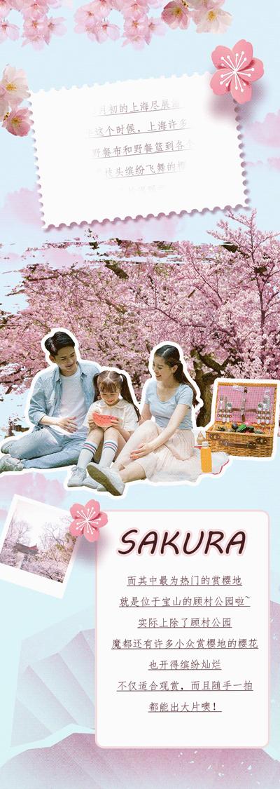 上海顾村公园赏樱花图片,全季顾村公园