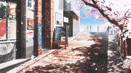 上海顾村公园赏樱花图片,全季顾村公园