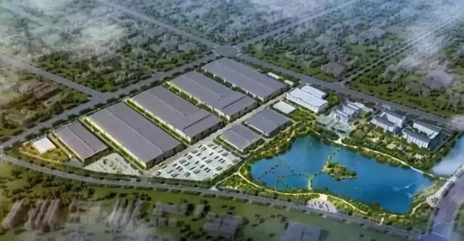 无为王传福,王传福在无为视频