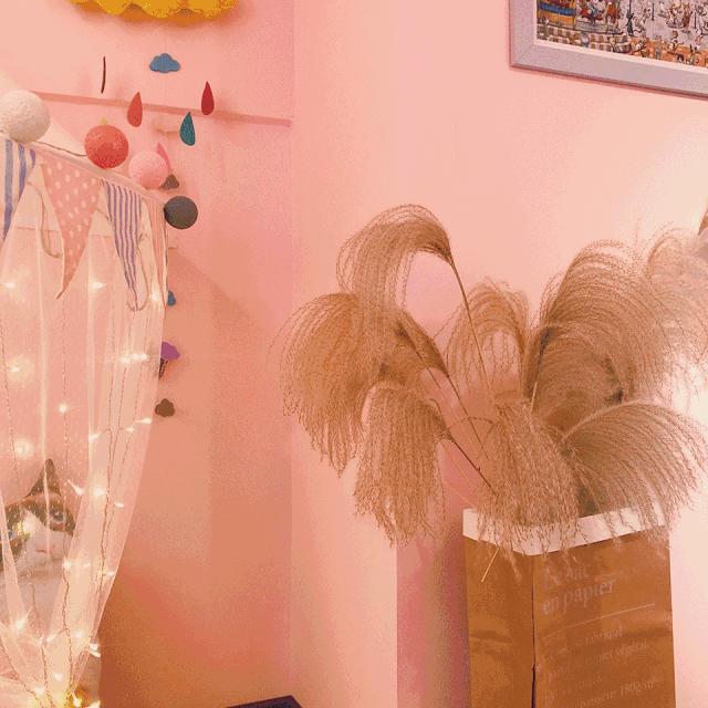 狂送福利！小鲜肉集结的韩料，火爆广州的茶室……你想要的统统给你！