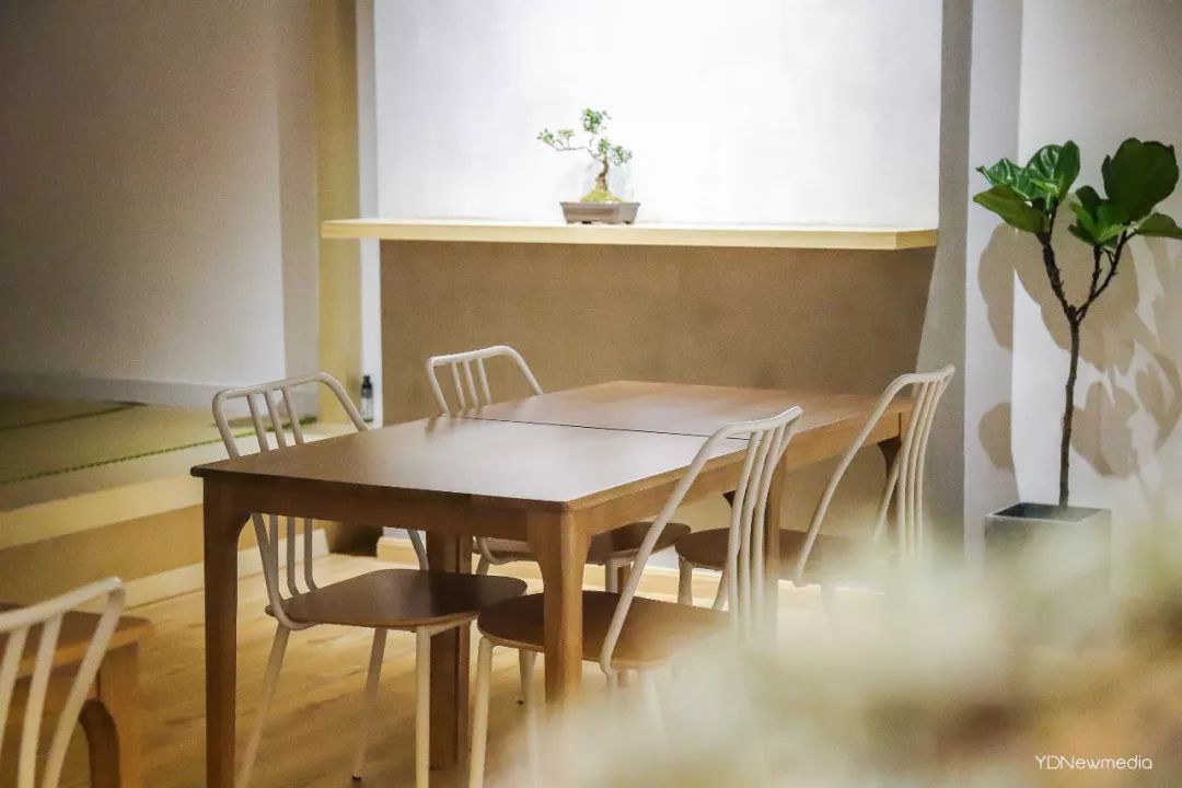 狂送福利！小鲜肉集结的韩料，火爆广州的茶室……你想要的统统给你！