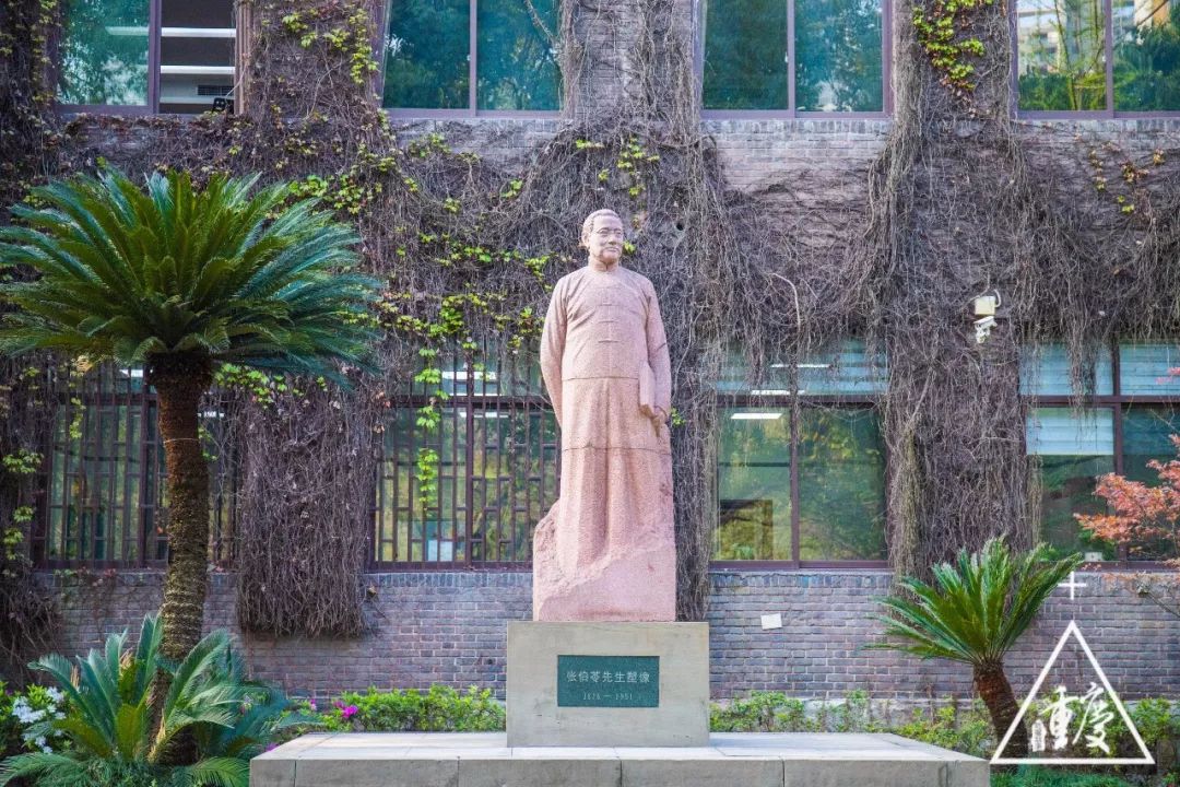 在重庆印象最深刻的是什么,考上重庆最好的南开中学