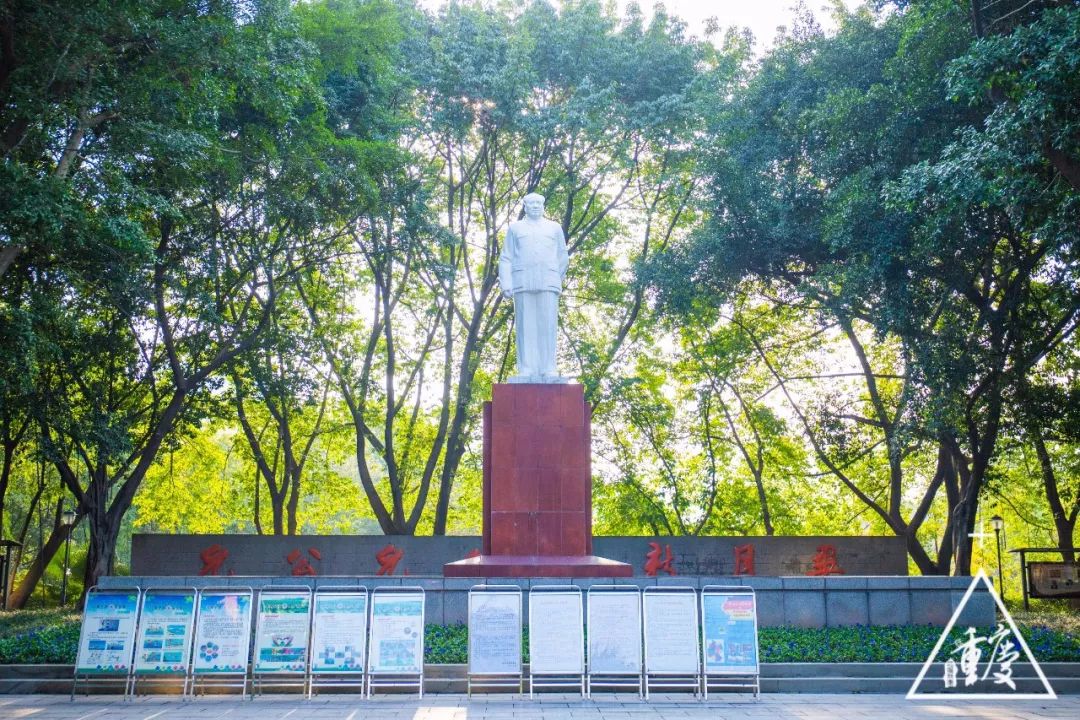 在重庆印象最深刻的是什么,考上重庆最好的南开中学