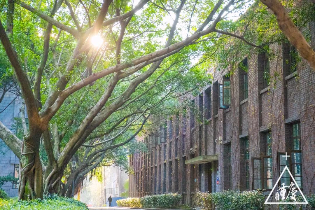 在重庆印象最深刻的是什么,考上重庆最好的南开中学