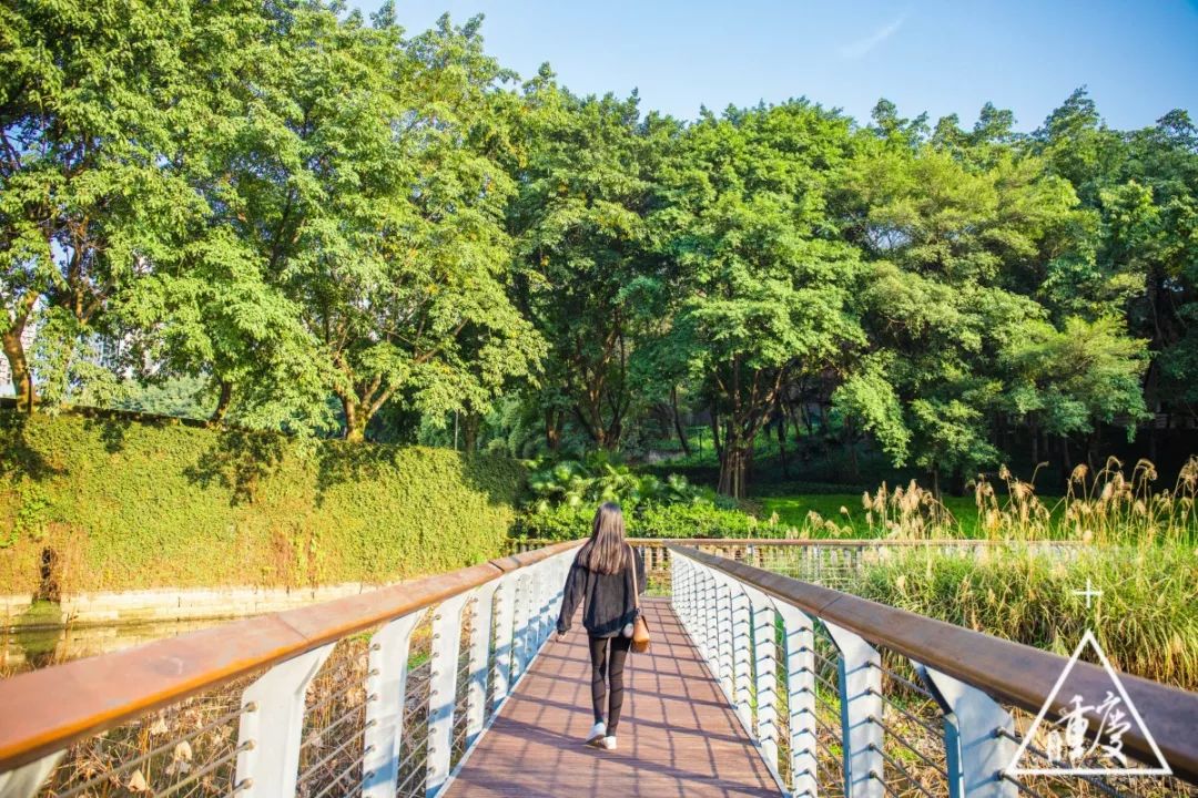 在重庆印象最深刻的是什么,考上重庆最好的南开中学