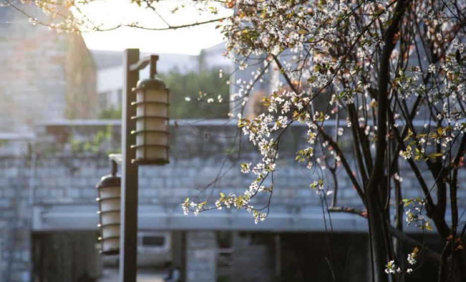 “重马”来啦！在沙坪坝的春天里应这样度过