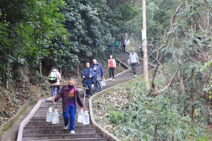 “重马”来啦！在沙坪坝的春天里应这样度过