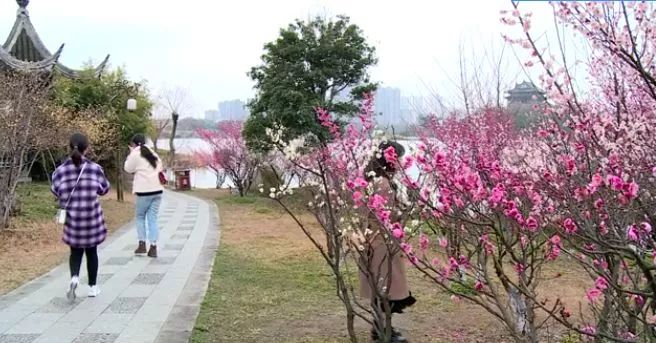 桃花癣最佳治愈方法,被烂桃花缠身怎么办