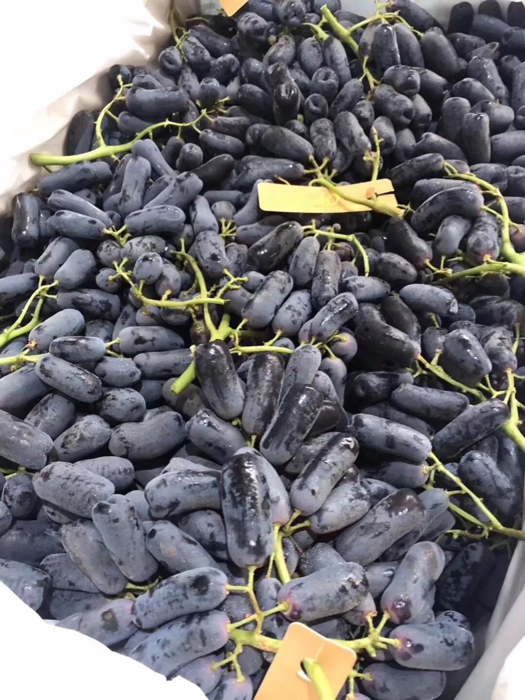 澳洲金手指黑提子干,在西安你可以品尝到哪种美食