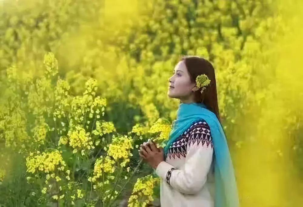 古诗词西江月遣兴,诗词西江月视频