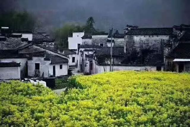 古诗词西江月遣兴,诗词西江月视频