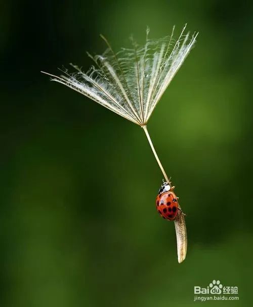 单反相机入门教程与摄影技巧,摄影新手如何提升技术