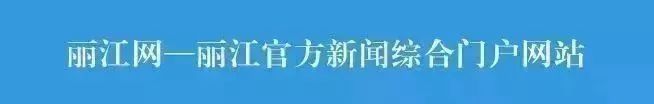 丽江儿童足球比赛,云南丽江小学生足球比赛