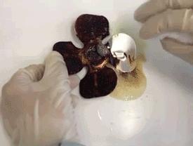 黑科技油烟净,黑科技除垢剂