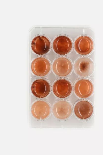 最经典实用的设计,十个最实用的设计