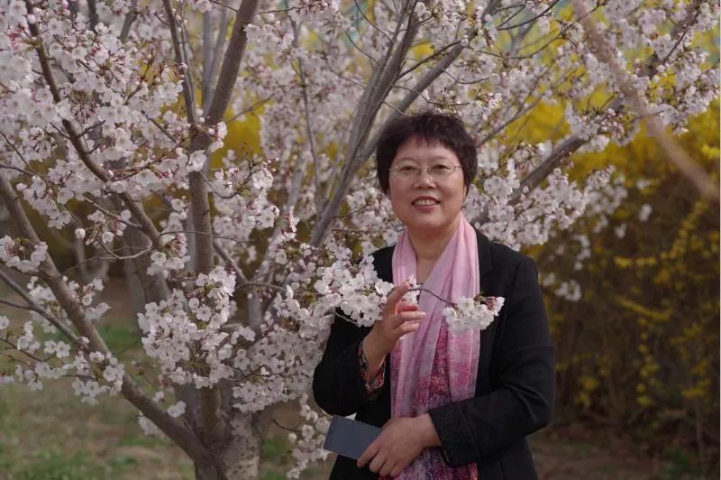 速来！快为你心中的“白衣女神”投一票！（第二组）