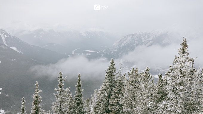 漫长的八个月,冬天的加拿大真的好美