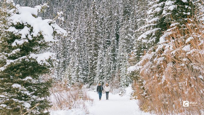 漫长的八个月,冬天的加拿大真的好美