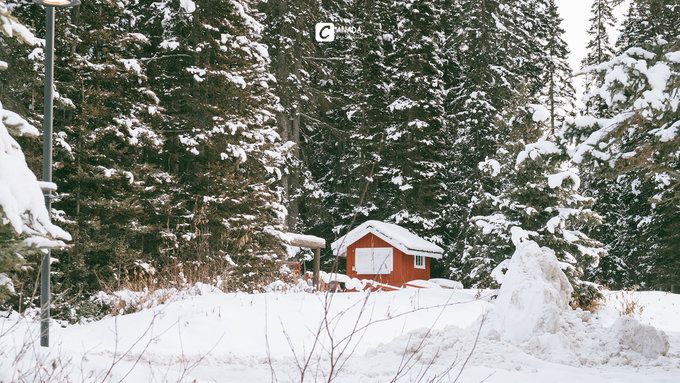 漫长的八个月,冬天的加拿大真的好美