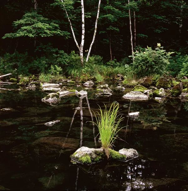 辉南篮球赛,最拉风的啦啦队