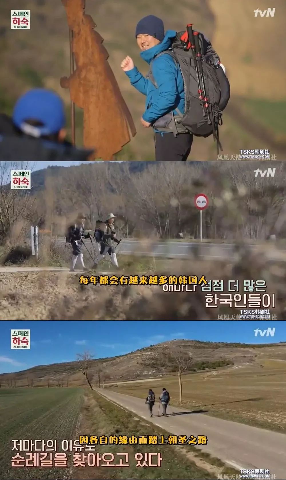 罗英石综艺节目表,罗英石新综艺