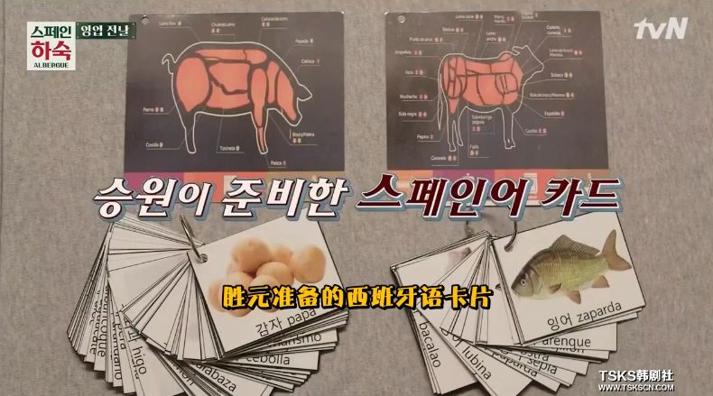 罗英石综艺节目表,罗英石新综艺