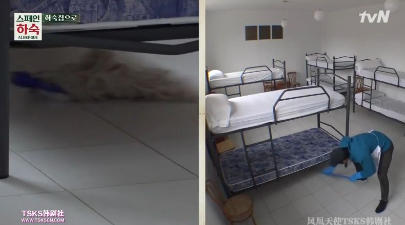 罗英石综艺节目表,罗英石新综艺