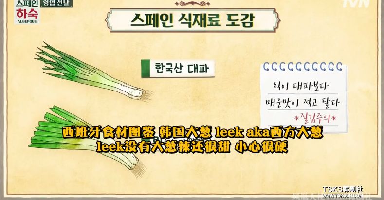 罗英石综艺节目表,罗英石新综艺