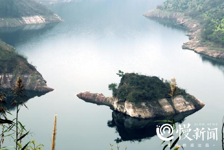 踏青赏樱花正当时,踏青赏景正当时