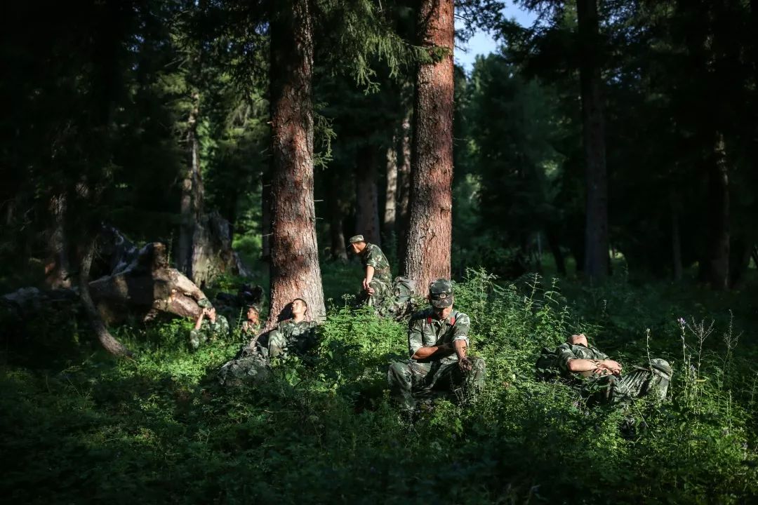 消防员森林火灾事件,四川森林大火致30名扑火人员