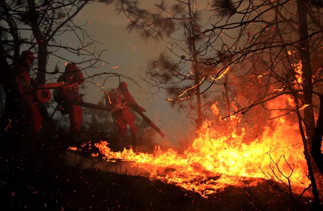 消防员森林火灾事件,四川森林大火致30名扑火人员