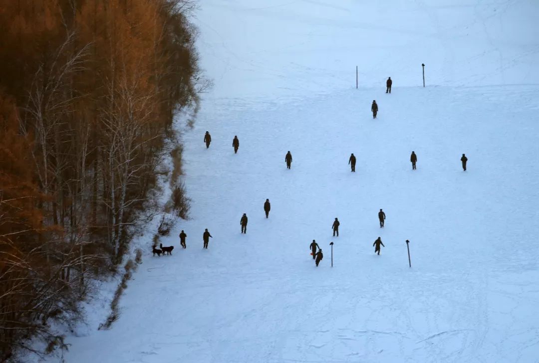 消防员森林火灾事件,四川森林大火致30名扑火人员