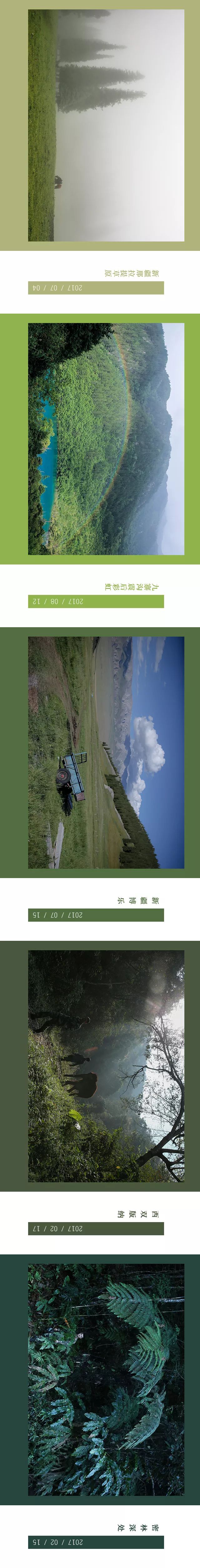 消防员森林火灾事件,四川森林大火致30名扑火人员