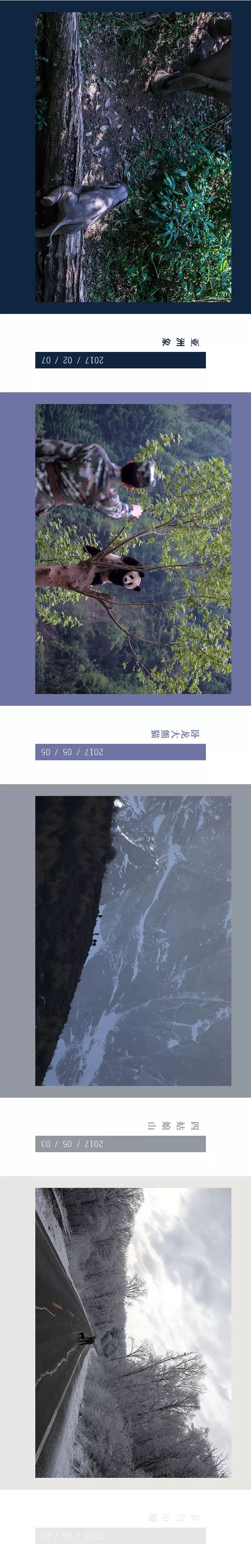 消防员森林火灾事件,四川森林大火致30名扑火人员