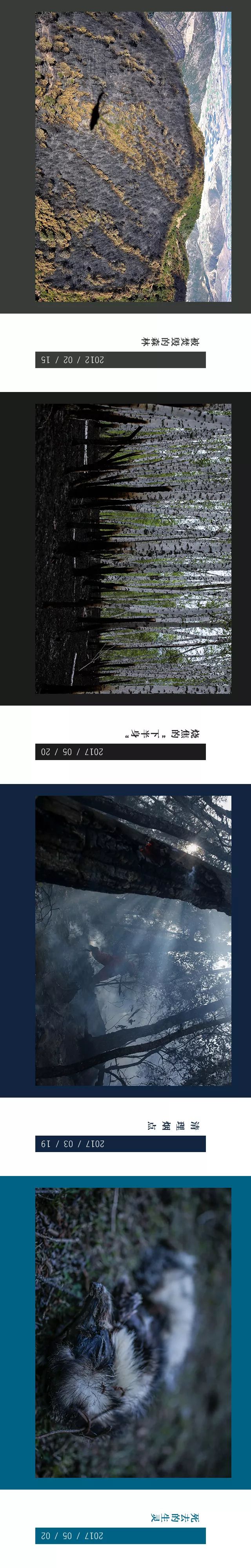 消防员森林火灾事件,四川森林大火致30名扑火人员