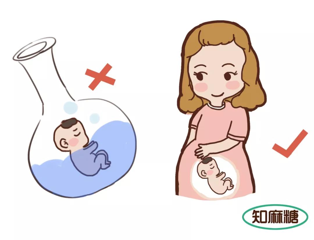 什么是试管婴儿费用一般多少,什么是试管婴儿解释