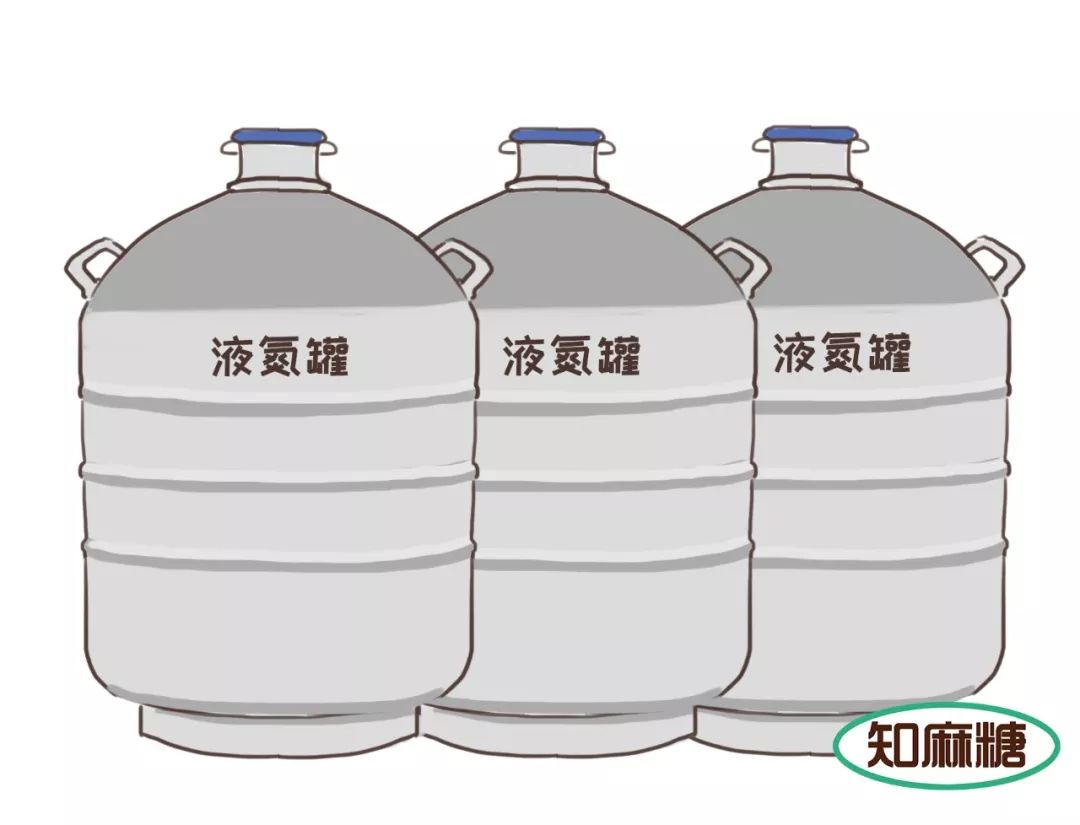 什么是试管婴儿费用一般多少,什么是试管婴儿解释