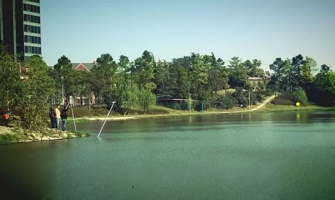 剁手｜10块钱在上海能干些什么？这些可能大家都想不到！