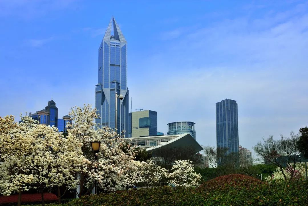 剁手｜10块钱在上海能干些什么？这些可能大家都想不到！