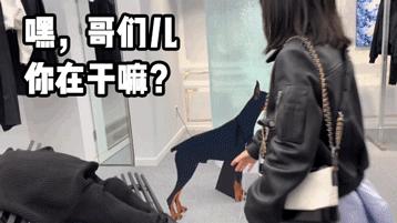 稳赚不赔！韩国首尔最值得打卡的TOP11完美攻略