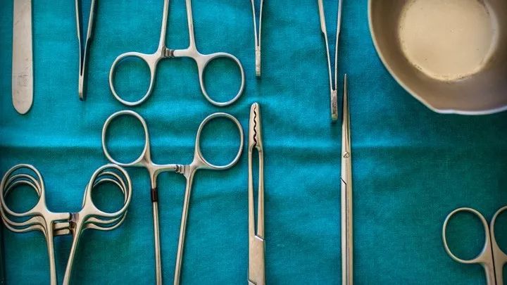 直到看了病理医生切的片子，我才明白了什么叫「艺术细胞」