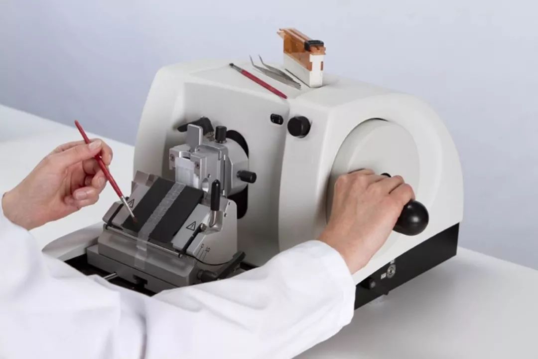 直到看了病理医生切的片子，我才明白了什么叫「艺术细胞」